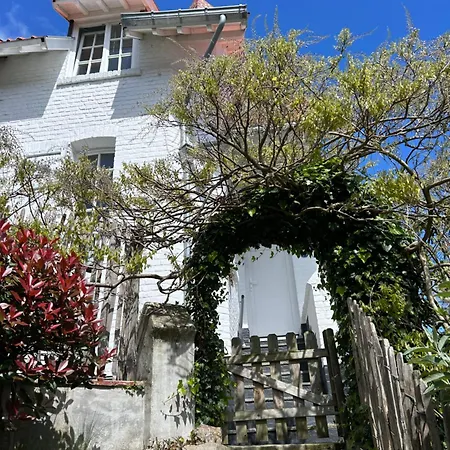Kitoko Dans Le Quartier Residentiel De A 5m De La Villa Koksijde
